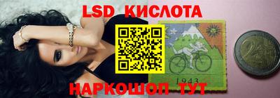 прущие грибы Вязьма