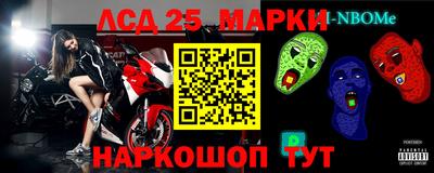 прущие грибы Вязьма
